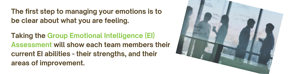 Image stating "The first step to managing your emotions is to be clear about what you are feeling. Taking the Group Emotional Intelligence (EI) Assessment will show each team member their current EI abilities - their strengths, and their areas of improvement."